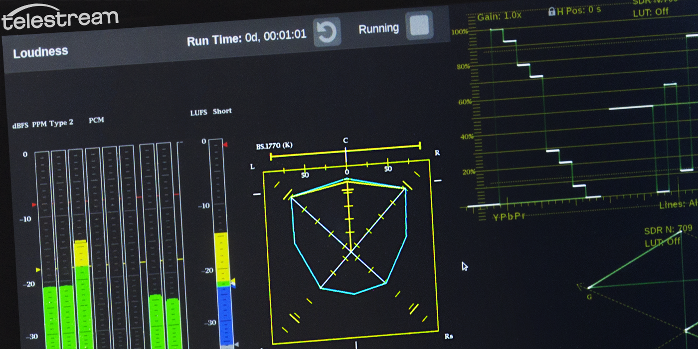 The Surround Sound Display in the PRISM Waveform Monitor